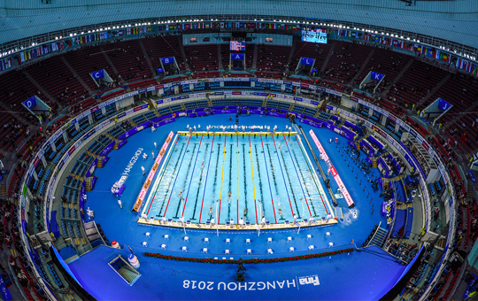 第十四届FINA世界游泳锦标赛